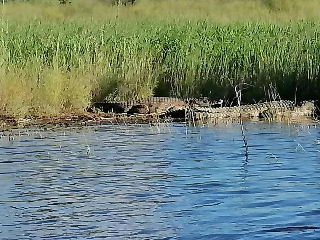 Camp Hogo Kavango Rundu Esterno foto