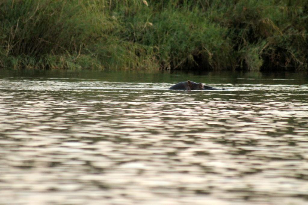 Camp Hogo Kavango Rundu Esterno foto